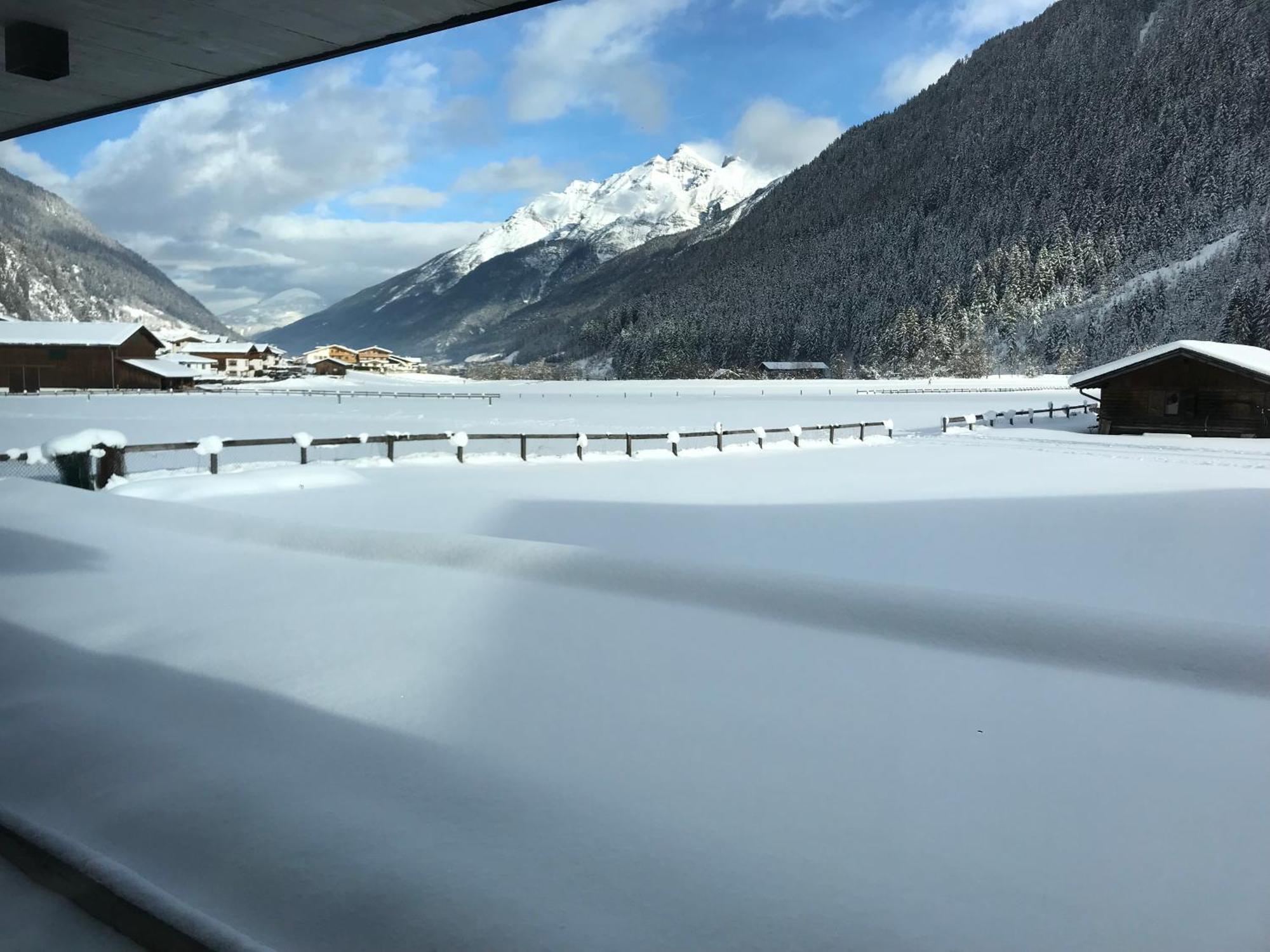 Apartment Mountainview Neustift im Stubaital Eksteriør billede